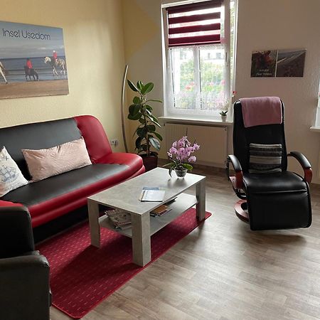 Ferienwohnung Mit Terrasse - Insel Usedom トラッセンハイデ エクステリア 写真