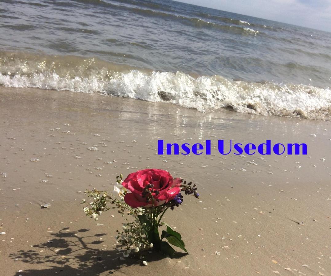 Ferienwohnung Mit Terrasse - Insel Usedom トラッセンハイデ エクステリア 写真