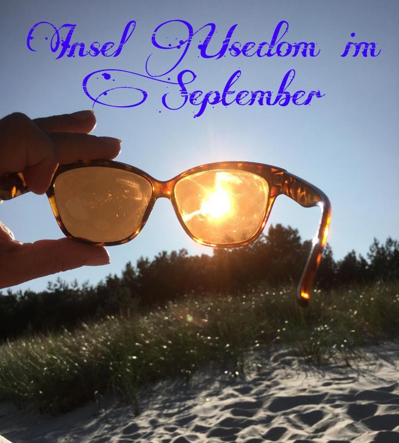 Ferienwohnung Mit Terrasse - Insel Usedom トラッセンハイデ エクステリア 写真
