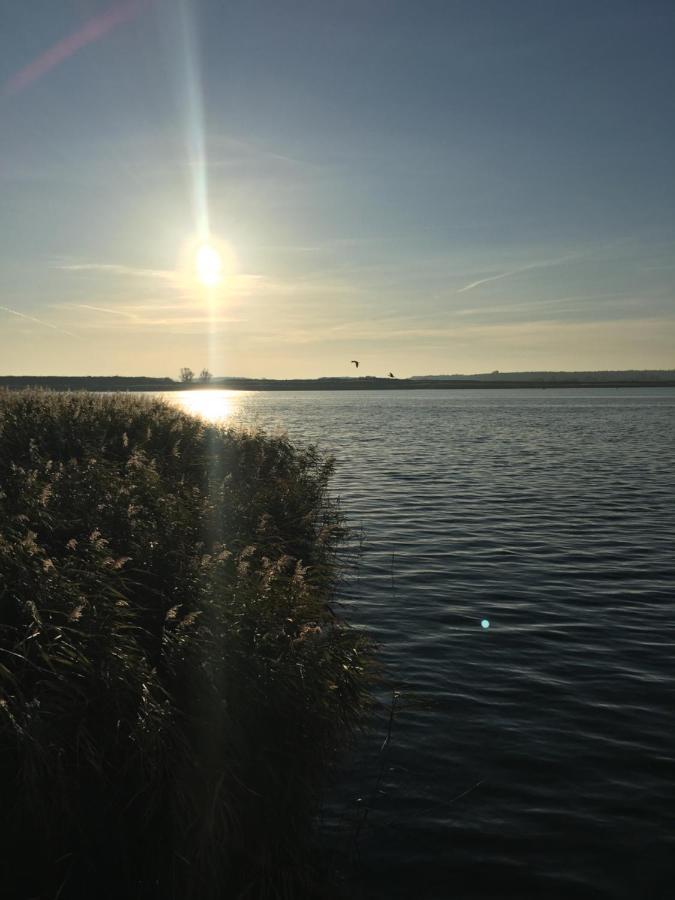 Ferienwohnung Mit Terrasse - Insel Usedom トラッセンハイデ エクステリア 写真