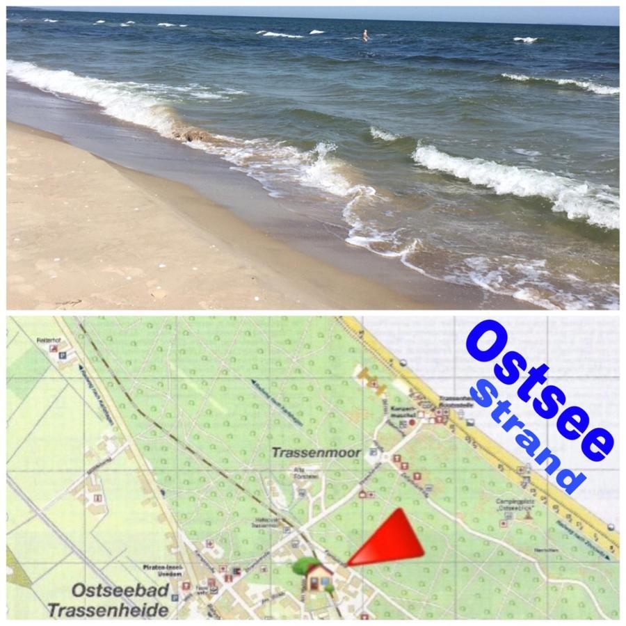 Ferienwohnung Mit Terrasse - Insel Usedom トラッセンハイデ エクステリア 写真