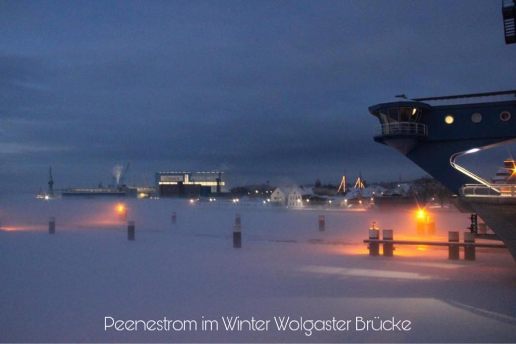 Ferienwohnung Mit Terrasse - Insel Usedom トラッセンハイデ エクステリア 写真