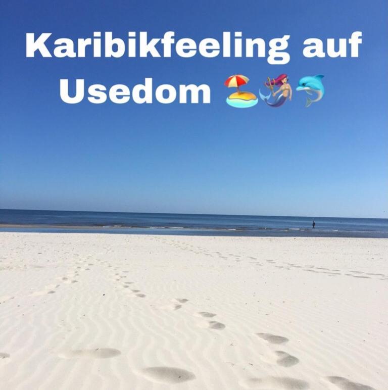 Ferienwohnung Mit Terrasse - Insel Usedom トラッセンハイデ エクステリア 写真