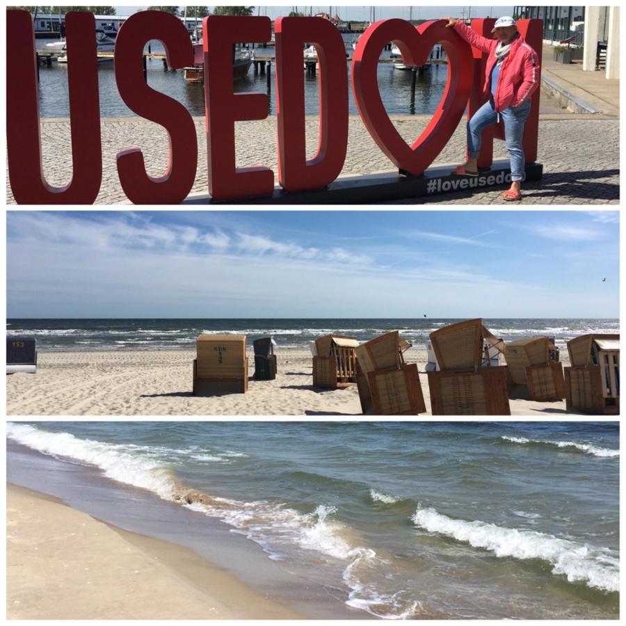 Ferienwohnung Mit Terrasse - Insel Usedom トラッセンハイデ エクステリア 写真