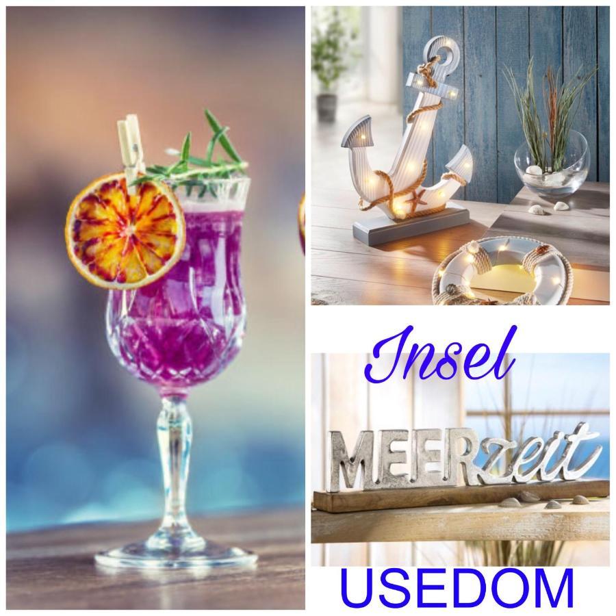 Ferienwohnung Mit Terrasse - Insel Usedom トラッセンハイデ エクステリア 写真