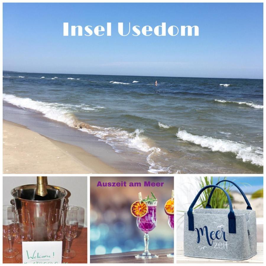 Ferienwohnung Mit Terrasse - Insel Usedom トラッセンハイデ エクステリア 写真