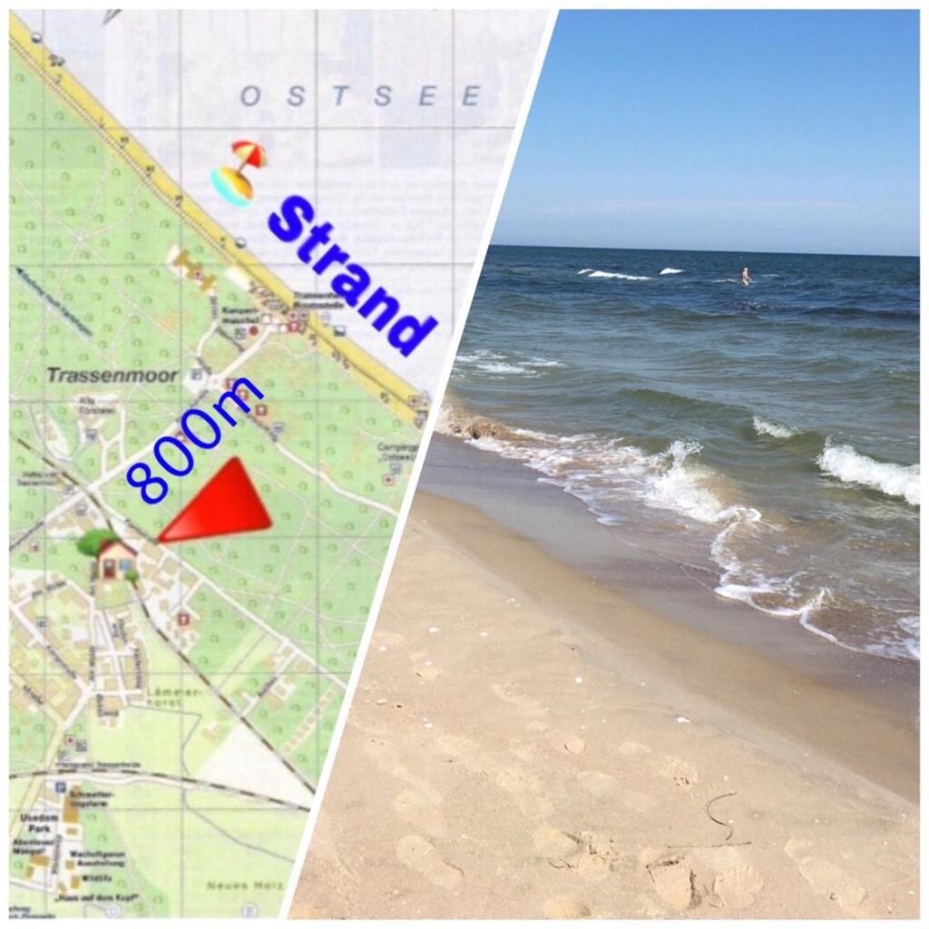 Ferienwohnung Mit Terrasse - Insel Usedom トラッセンハイデ エクステリア 写真