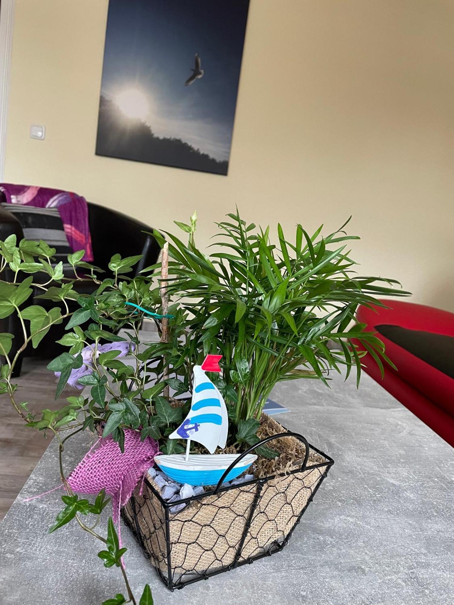 Ferienwohnung Mit Terrasse - Insel Usedom トラッセンハイデ エクステリア 写真