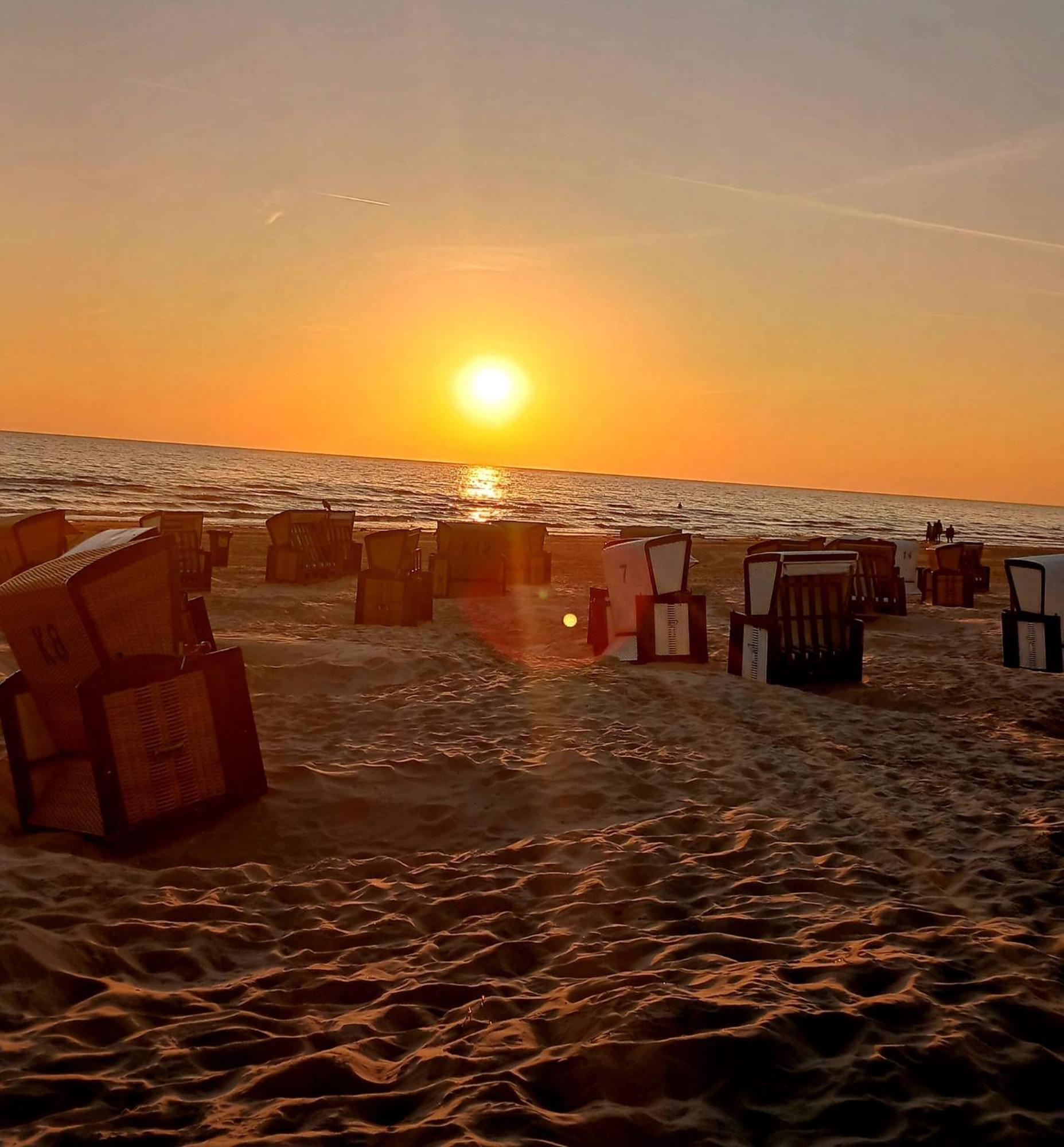 Ferienwohnung Mit Terrasse - Insel Usedom トラッセンハイデ エクステリア 写真