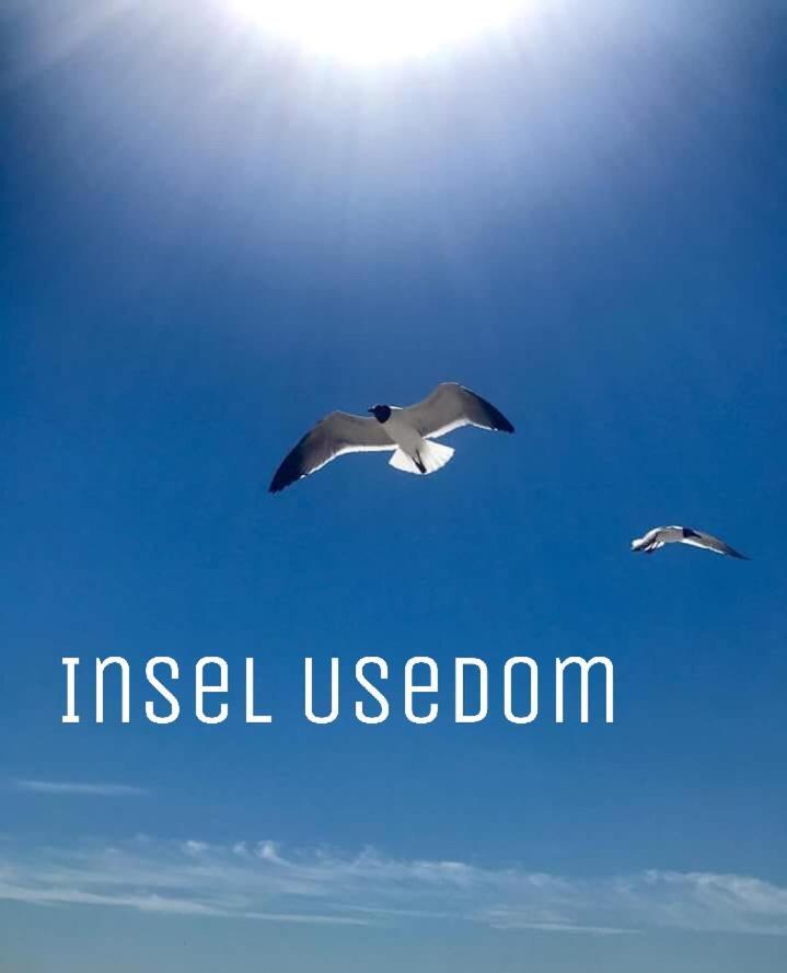 Ferienwohnung Mit Terrasse - Insel Usedom トラッセンハイデ エクステリア 写真